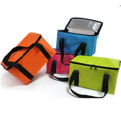 Insulated Ice Cream Cooler Bag